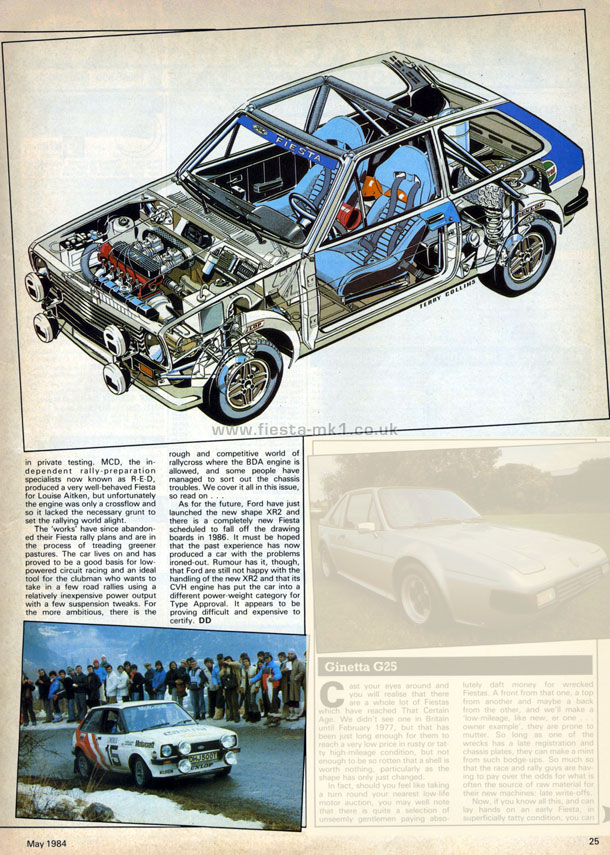Auto Performance - History: Ford Fiesta - Page 2